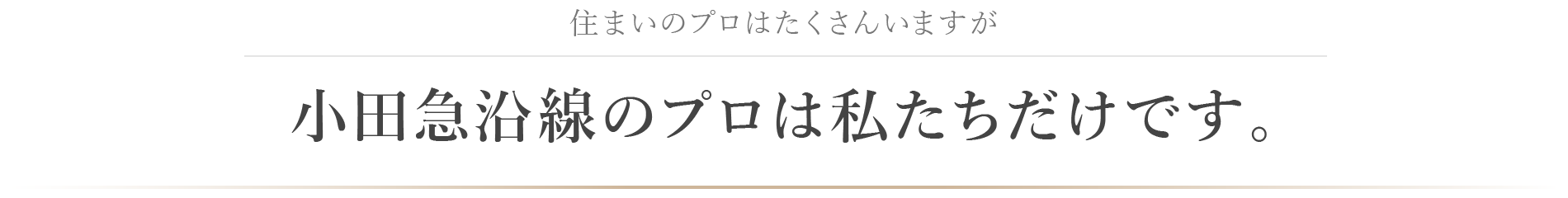 住まいのプロはたくさんいますが小田急沿線のプロは私たちだけです。